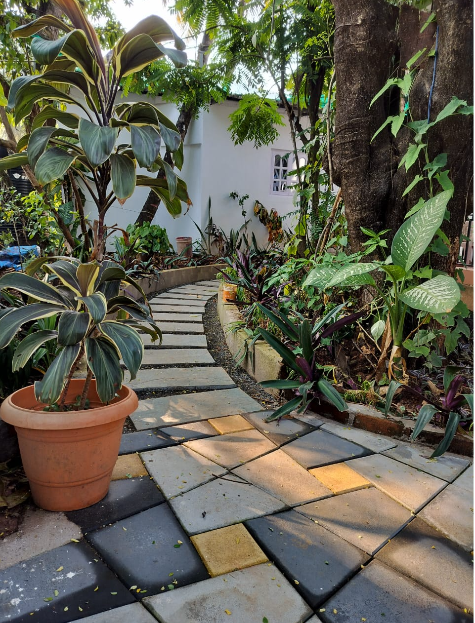 Private room in Anjuna